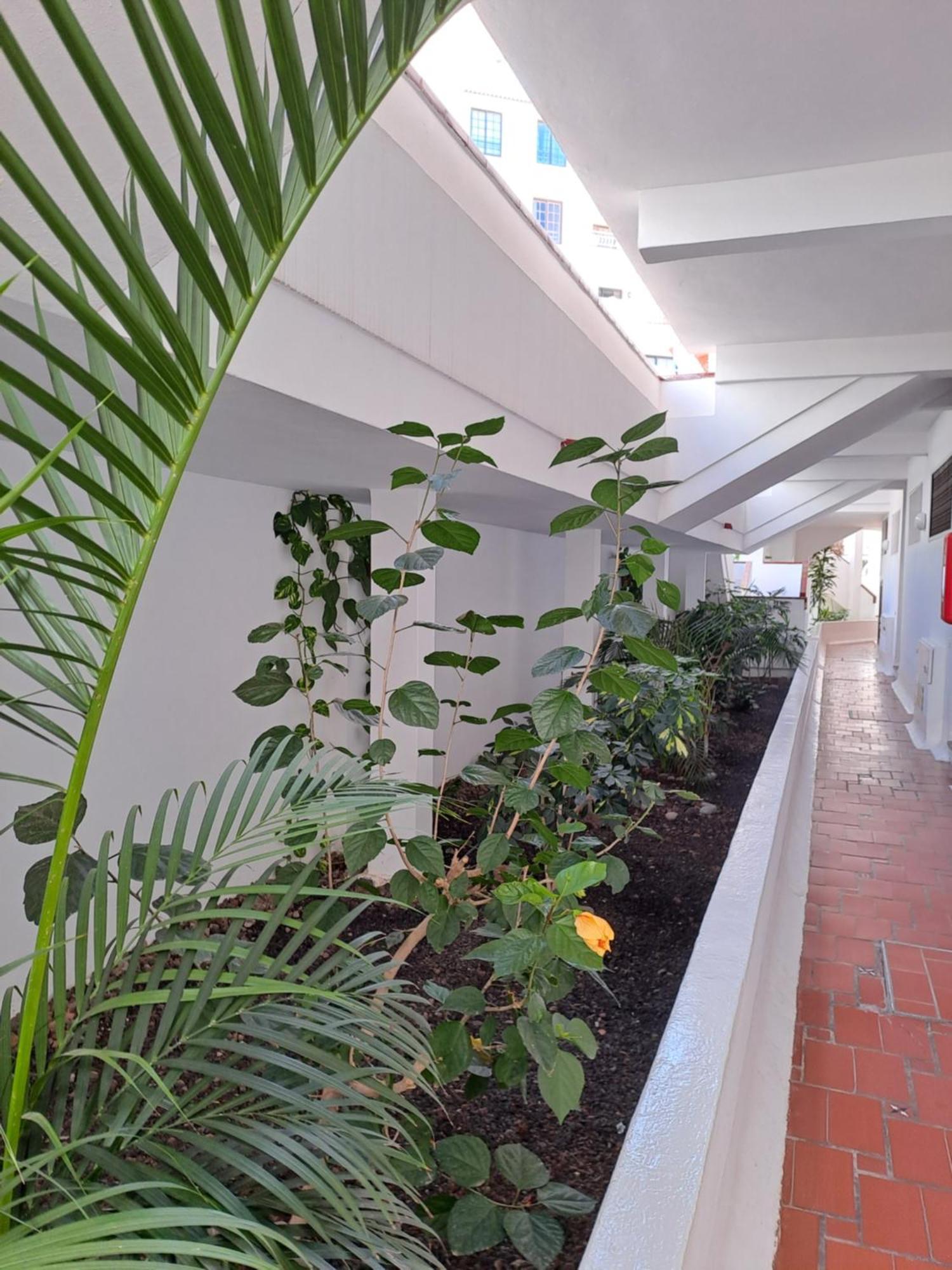 Ancora Home, Los Diamantes, Tenerife Los Cristianos  Kültér fotó